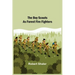 The Boy Scouts as Forest Fire Fighters