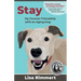 Stay