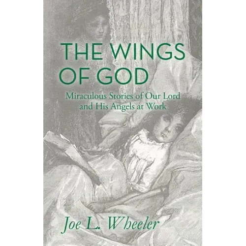 The Wings of God: Miraculous Stories of Our Lord and His Angels at Work