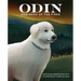 Odin, Dog Hero of the Fires