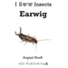 Earwig