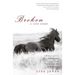 Broken: A Love Story: A Woman's Journey Toward Redemption on the Wind River Indian Reservation