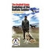 The Redtail Gang: Evolution of the Buffalo Soldier