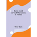 Down South; or, Yacht Adventure in Florida