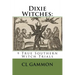 Dixie Witches: 9 True Southern Witch Trials