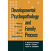 Developmental Psychopathology and Family Process: Theory, Research, and Clinical Implications