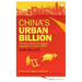 China's Urban Billion: The Story Behind the Biggest Migration in Human History