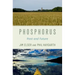 Phosphorus: Past and Future