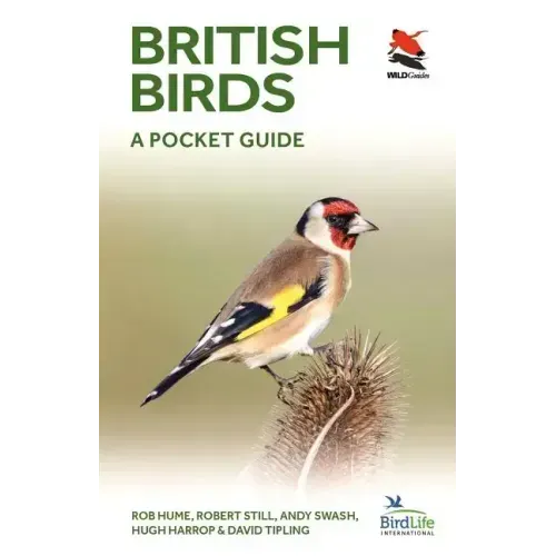 British and Irish Birds: A Pocket Guide