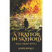 A Traitor in Skyhold: Mage Errant Book 3