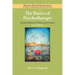 The Basics of Psychotherapy: An Introduction to Theory and Practice