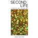 Second Life: A Story of Love, Loss and Hope