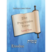 The Progressive Torah: Level Two Exodus: Color Edition