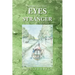Through the Eyes of a Stranger