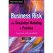 Business Risk and Simulation Modelling in Practice: Using Excel, VBA and @Risk