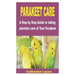 Parakeet Care: A Step by Step Guide to taking absolute care of Your Parakeet