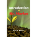 Introduction of Mr. Market