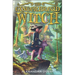 The Gingerbread Witch