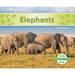 Elephants
