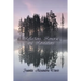 Reflections, Remorse, and Revelations