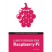 Learn to Program Your Raspberry Pi