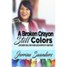 A Broken Crayon Still Colors: How to Live God's Will for Your Life in Spite of Your Past