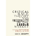 Critical Race Theory and Inequality in the Labour Market: Racial Stratification in Ireland
