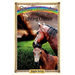 Fighting Chance: Sometimes Horses Need a Little Magic