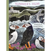 Summer's Hum: Part of a Beautiful New Series from Beloved Illustrator and Print-Maker Angela Harding