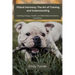 Pitbull Harmony: The Art of Training and Understanding: The art of Training and Understanding: Creating a Happy, Healthy, and Well-Balanced Canine Com