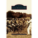 Laconia Motorcycle Week