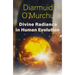 Divine Radiance in Human Evolution