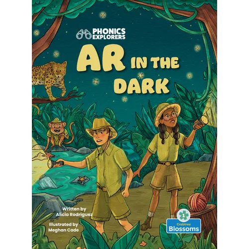 AR in the Dark