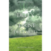 The Deity of Christ Declared