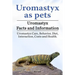Uromastyx as pets. Uromastyx Facts and Information. Uromastyx Care, Behavior, Diet, Interaction, Costs and Health.