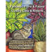 Big Kids Coloring Book - Fantastic Flora and Fauna: Volume Two - Contented Cats & Kittens