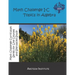 Math Challenge I-C Topics In Algebra