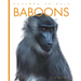Baboons