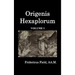 Origen Hexapla (Volume I)