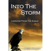 Into the Storm