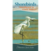 Shorebirds of the Southeast & Gulf States: Your Way to Easily Identify Shorebirds