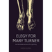 Elegy for Mary Turner: An Illustrated Account of a Lynching