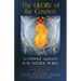 The Glory of the Cosmos: A Catholic Approach to the Natural World