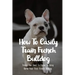 How To Easily Train French Bulldog: Things You Need To Know To Bring Home Your First French Bulldog: Frenchie Personality Of French Bulldog