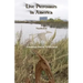 Live Pterosaurs in America: Not extinct, flying creatures of cryptozoology that some call pterodactyls or flying dinosaurs or prehistoric birds