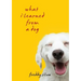 What I Learned From A Dog