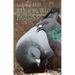 Men Who Feed Pigeons