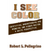 I See Color: Identifying, Understanding & Reducing Hidden Racism: A White Perspective