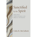 Sanctified by the Spirit: John Owen, Habits of Grace, and Biblical Counseling