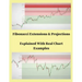 Fibonacci Extensions & Projections Explained With Real Char Examples